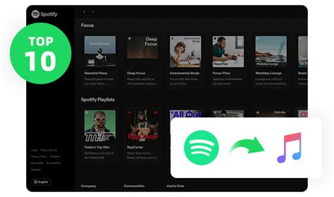 Can you transfer Apple Music playlist to Spotify? Exploring the Melodic Migration